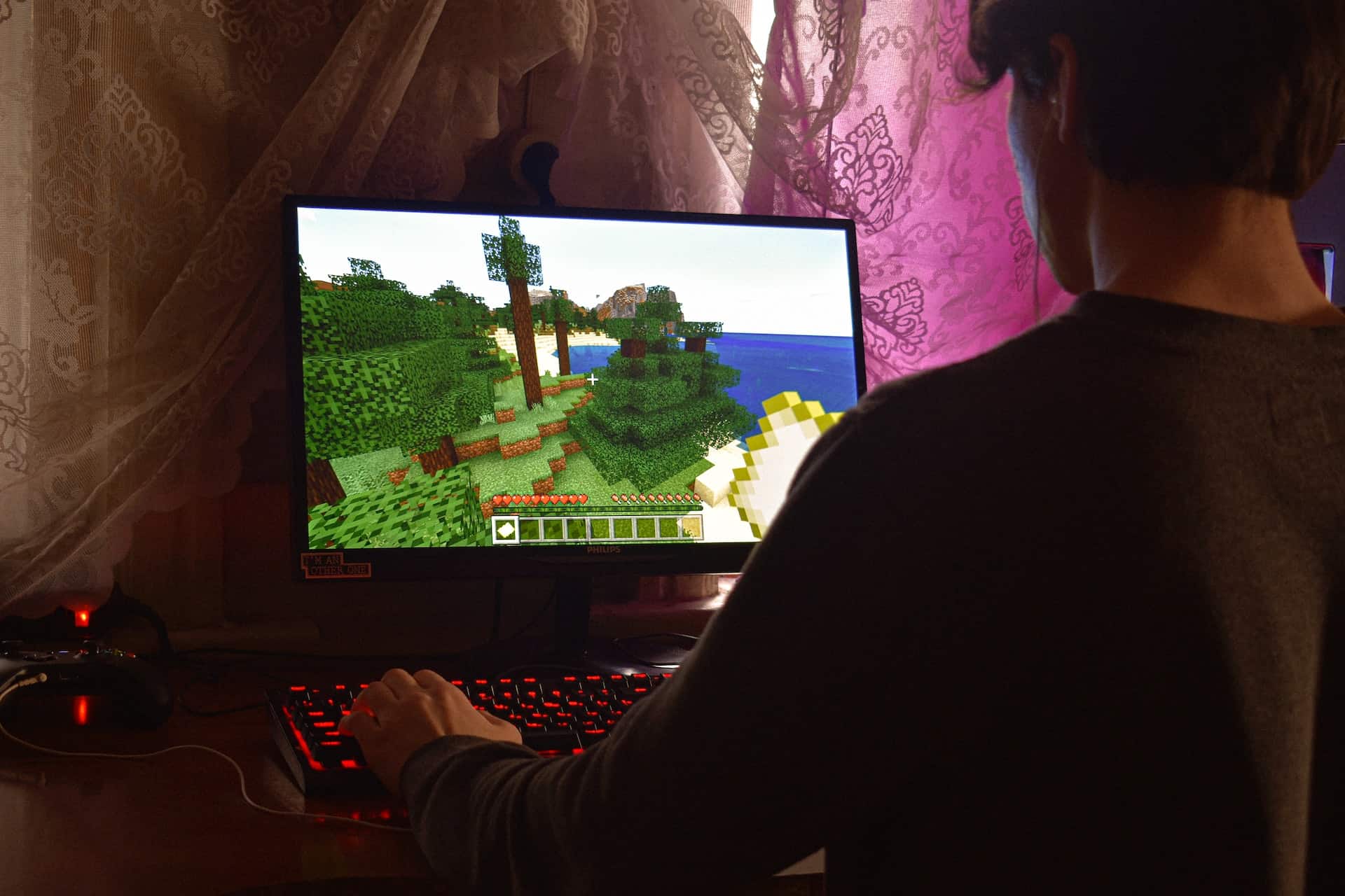 someone playing a computer game