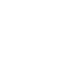 voice